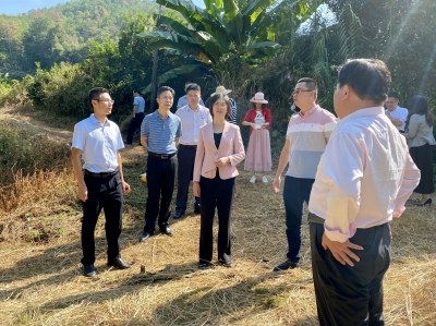 吴晓晖到党支部工作联系点调研并讲党课：用党的创新理论武装头脑指导实践推动工作