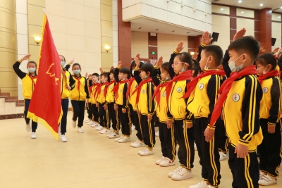 继承光荣传统 树立远大理想！大埔召开第八次全国少代会精神宣讲会