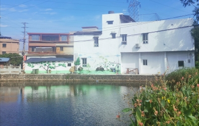 旧建筑变“童话世界”！丰顺县这个村3D墙绘惊艳“登场”