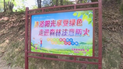 防患于未“燃”！丰顺全力筑牢森林“防火墙”