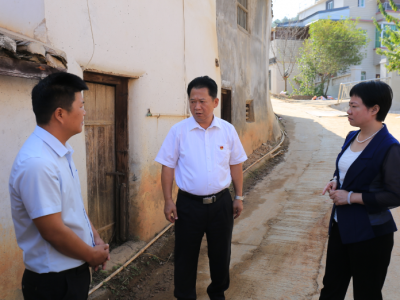 梅江区主要领导率队检查林风眠诞辰120周年纪念活动筹备工作