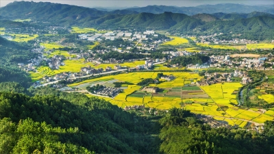 梅县区人大常委会组织代表对“铁公机”建设开展专题视察