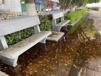 难顶！梅城这条路不仅落叶满布，走过还要“小心滑倒”...