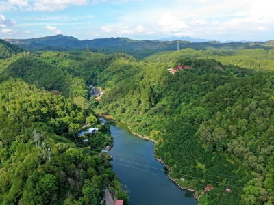 八角亭丨内外兼修促发展