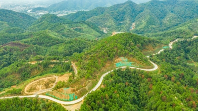 路通，迎客来、美起来、富起来！