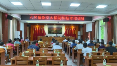 为八尺镇创业青年“传经送宝”~平远县关工委开展了这场培训