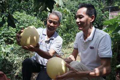 退伍不褪色！他当起了家乡脱贫的“领头羊”