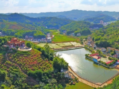 时评丨走稳走好乡村振兴路