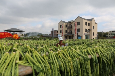小康路上满眼春！脱贫攻坚，让平远这些贫困村变了样