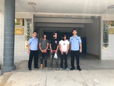 这些野生鸟类你见过吗？顶风作案！平远警方打掉一非法狩猎团伙