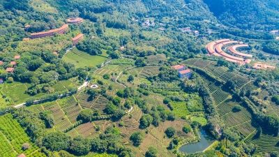 存入“绿水青山”，取出“金山银山”！ 这样的“客都明珠”我爱了！