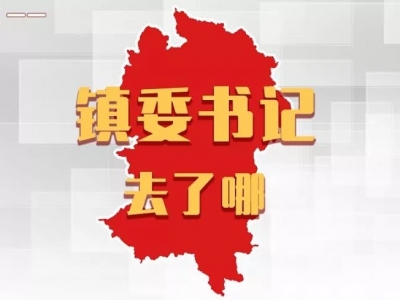 平远各镇党委书记，上周在忙什么？