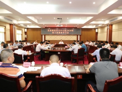 丰顺县委理论学习中心组举行2020年第十次专题学习会