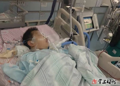 20万元爱心款，筑起10岁患慢性肾脏病男童的重生路