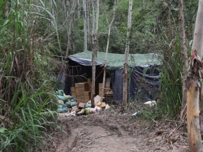 这假烟，你可能吸过！深山老林里，现场缴获440万余支！