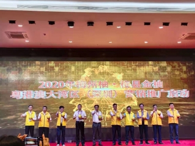 9个梅县金柚拍出11.7万元！2020梅州柚·梅县金柚深圳推介会举行