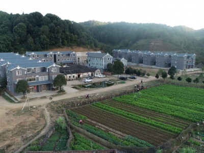 “五子登科”齐上阵！助力平远产品融入“双区”大市场