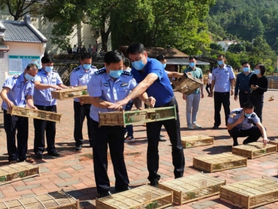 全力保护野生动物及其栖息地！梅州准备这样做