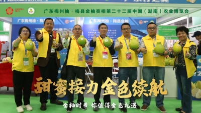 拓展中部大市场！梅州柚·梅县金柚亮相湖南长沙开启“甜蜜接力”