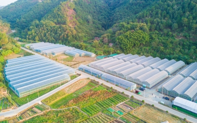 稻子脱壳成“金子”，菜棚摇变“聚宝棚”！梅江人民的钱袋子鼓起来了！