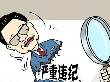 海南省委常委、三亚市委书记童道驰被查