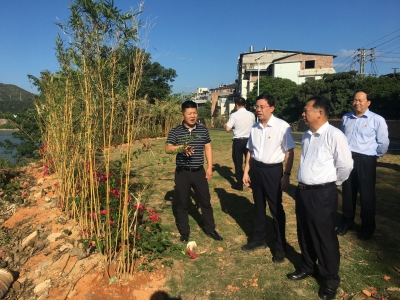 黄文沐到党支部工作联系点调研：强化基层治理  推动村美民富