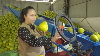 货源充足！蕉岭商家充“电”迎战"双十一"，只等“尾款人”来下单