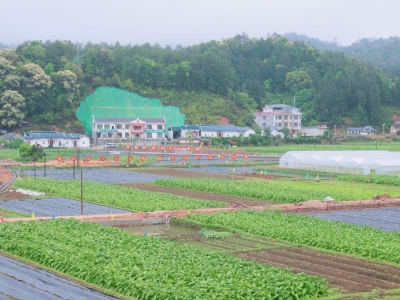 党员群众干部“鱼水情深”！平远：推进党的建设 锻造坚强领导力量