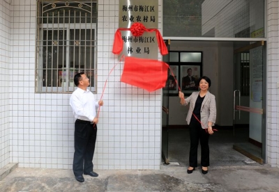 梅州市梅江区林业局揭牌