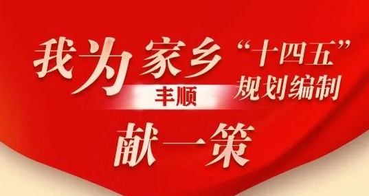 我为丰顺“十四五”规划献一策