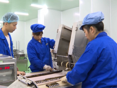 五华政协调研南药产业园建设