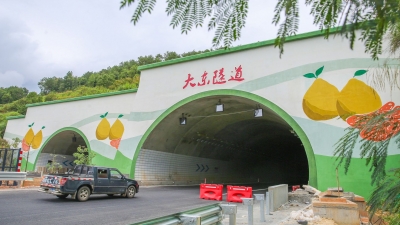 一笔一画，妙手绘丹青！这条隧道洞门化身客潮文化新“窗口” 