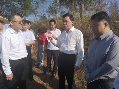 黄文沐检查调研国土空间生态保护与修复工作：持续提升生态系统质量和稳定性