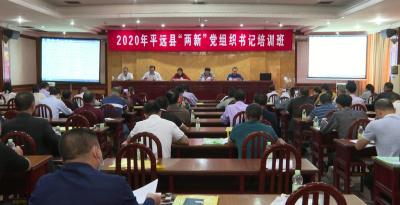平远县“两新”党组织书记集中“充电”