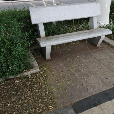 梅城沿江东路河堤上落叶积尘多！市民：太脏了，歇脚的地方都没