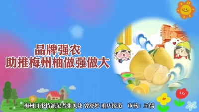 梅州V视丨聚焦第十八届中国国际农交会梅州展区：品牌强农 助推梅州柚做强做大