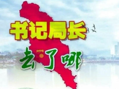 上一周，丰顺县各镇（场）党委书记和县直单位局长，都在忙些什么呢？