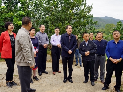 黄心怡来梅调研检查宗教工作：推动宗教中国化走深走实