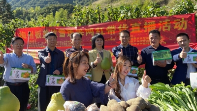 “田间地头”直连消费者！今天，要带的货，是梅江区板盖坑雪莲果！