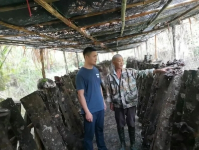 小小仙人草，贫困村户“致富宝”