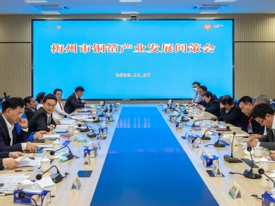 头脑风暴！院士专家和行业大咖为梅州打造“中国铜箔之都”把脉开方