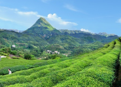梅州首次“卖空气”！每吨价格是？