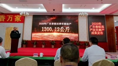 袁隆平院士题词祝贺！梅州兴宁丝苗香米产量创世界纪录！