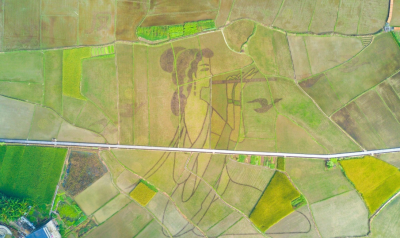 弘扬大师艺术精神~梅州围绕“十一个一”筹备林风眠诞辰120周年纪念活动