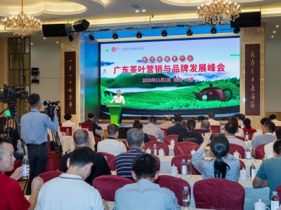 如何做好茶营销？怎么讲好茶故事？专家学者和茶界精英为广东、梅州茶产业把脉支招