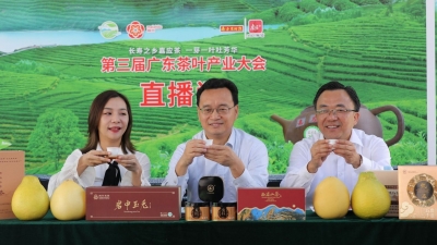 学习笃行丨做大茶叶产业  擦亮嘉应茶品牌