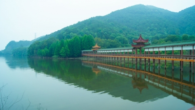 泮坑客家文化长廊：属于梅南胜境的文脉印记