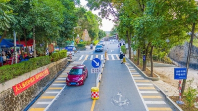 美出新高度！这才是“梅南胜境”的正确打开方式~