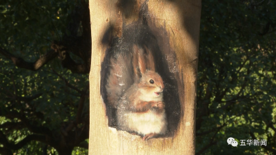 美！五华这几个公园有新景观！约起～