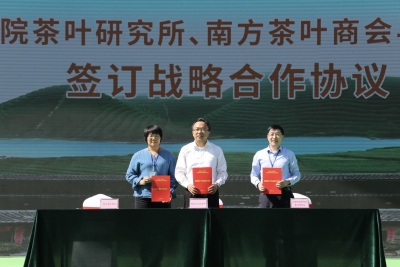 达成意向购销金额3.5亿元！梅州与中国农业科学院茶叶研究所合作共推嘉应茶